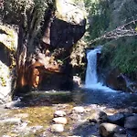 Turismo Consciente Y De Reconexion En Pucon Incluye Depto, Bano De Bosque Terapeutico Y Mindfulness En Parque Kulatrayquen