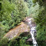 Turismo Consciente Y De Reconexion En Pucon Incluye Depto, Bano De Bosque Terapeutico Y Mindfulness En Parque Kulatrayquen