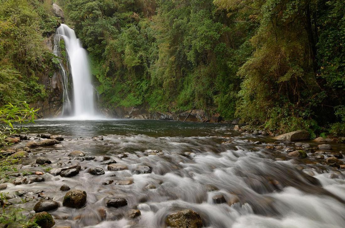 Turismo Consciente Y De Reconexion En Incluye Depto, Bano De Bosque Terapeutico Y Mindfulness En Parque Kulatrayquen *