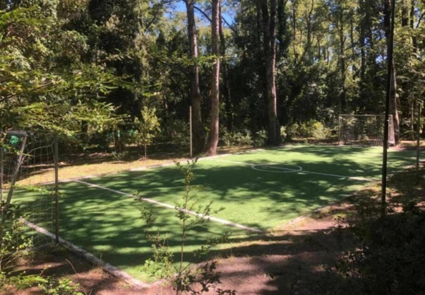 Apartamento Turismo Consciente Y De Reconexion En Incluye Depto, Bano De Bosque Terapeutico Y Mindfulness En Parque Kulatrayquen