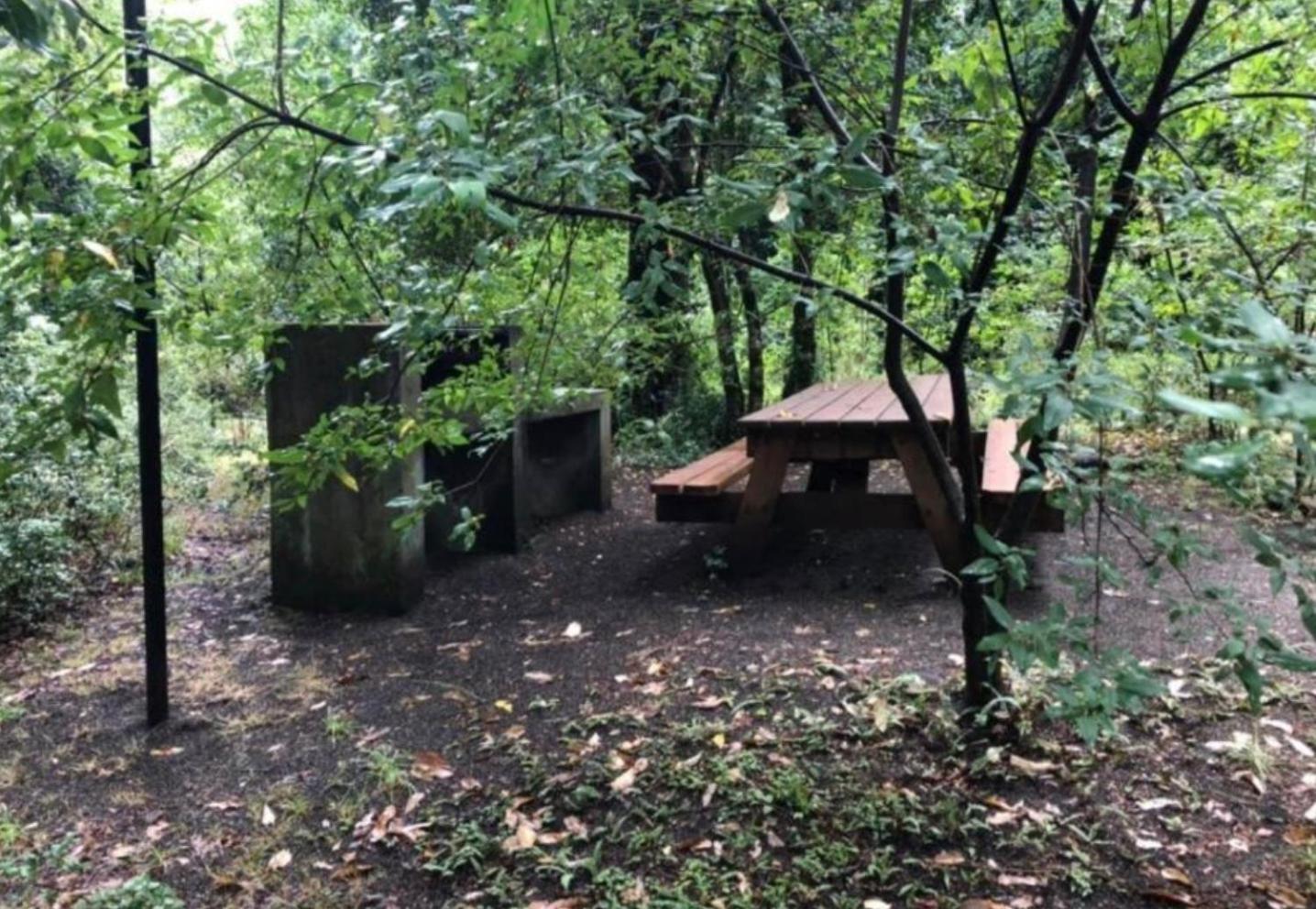 Turismo Consciente Y De Reconexion En Incluye Depto, Bano De Bosque Terapeutico Y Mindfulness En Parque Kulatrayquen Apartamento Pucón